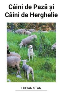 bokomslag Câini de Paz? ?i Câini de Herghelie