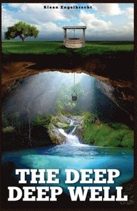 bokomslag Deep Deep Well