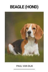 bokomslag Beagle (Hond)