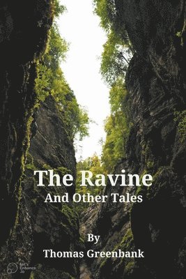 bokomslag The Ravine and Other Tales