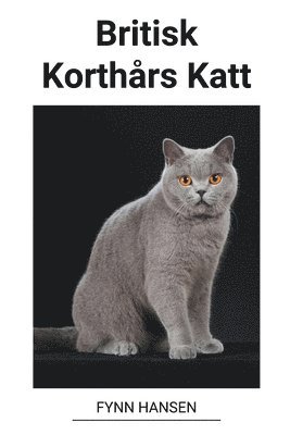 Britisk Korthars Katt 1