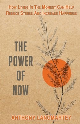 The Power of Now 1