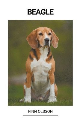 bokomslag Beagle