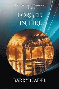 bokomslag Forged in Fire