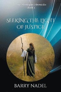 bokomslag Seeking the Light of Justice