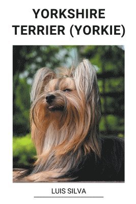 bokomslag Yorkshire Terrier (Yorkie)