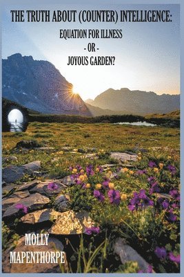 Molly Mapenthorpe - Truth About (Counter) Intelligence, Häftad