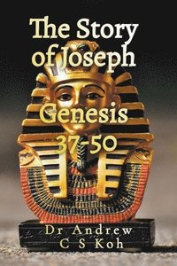 bokomslag The Story of Joseph