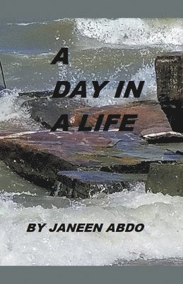 A Day in Life 1