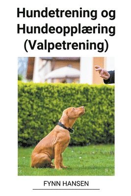 bokomslag Hundetrening og Hundeopplring (Valpetrening)