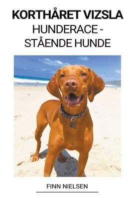 bokomslag Korthåret Vizsla (Hunderace - Stående Hunde)