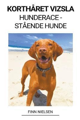 Kortharet Vizsla (Hunderace - Staende Hunde) 1