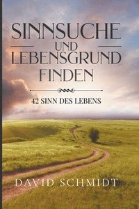 bokomslag Sinnsuche Und Lebensgrund Finden