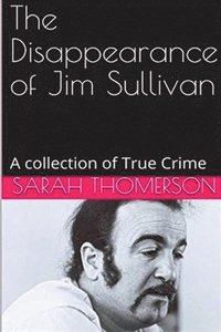 bokomslag The Disappearance of Jim Sullivan