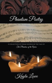 bokomslag Phantom Poetry