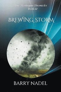 bokomslag Brewing Storm