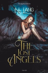 bokomslag The Lost Angels