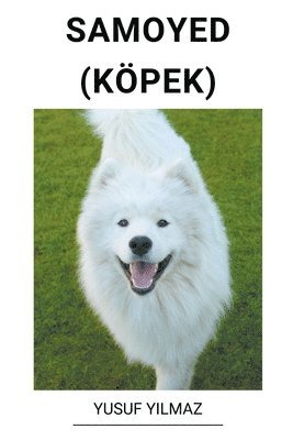 bokomslag Samoyed (Kpek)