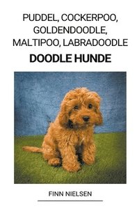 bokomslag Puddel, Cockerpoo, Goldendoodle, Maltipoo, Labradoodle (Doodle Hunde)