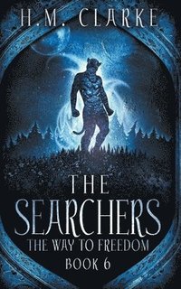 bokomslag The Searchers