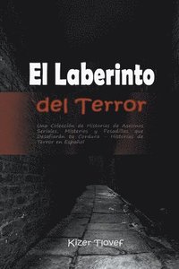 bokomslag El Laberinto del Terror