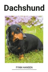 bokomslag Dachshund