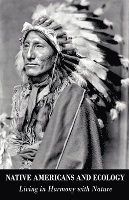 bokomslag Native Americans and Ecology Living in Harmony with Nature