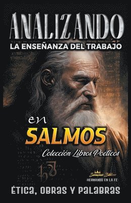 bokomslag Analizando la Enseñanza del Trabajo en Salmos