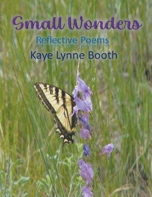 Kaye Lynne Booth - Small Wonders, Häftad