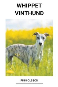 bokomslag Whippet (Vinthund)