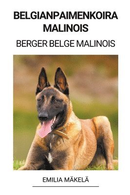 Belgianpaimenkoira Malinois (Berger Belge Malinois) 1