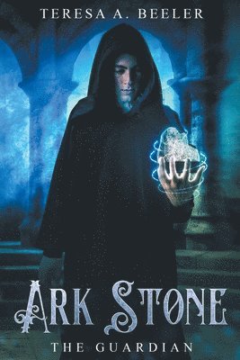 bokomslag Ark Stone