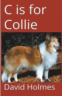 David Holmes - C is for Collie, Häftad