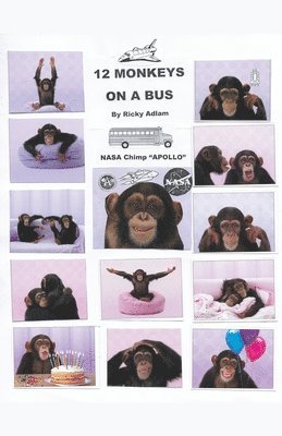 Twelve Monkeys on a Bus 1