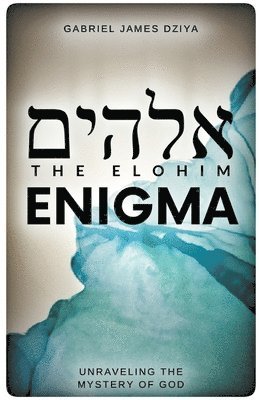 bokomslag Elohim Enigma