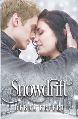 Snowdrift 1