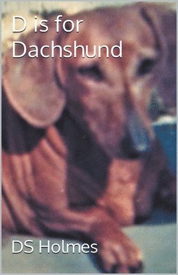 Ds Holmes - D is for Dachshund, Häftad
