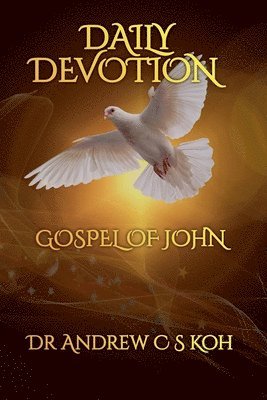 bokomslag Daily Devotion Gospel of John