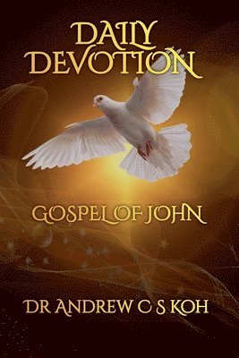 Daily Devotion Gospel of John