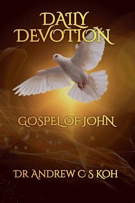 Daily Devotion Gospel of John 1