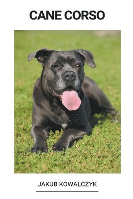 bokomslag Cane Corso