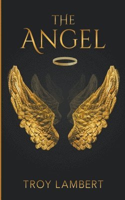 Troy Lambert - Angel, Häftad