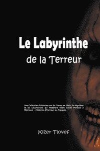 bokomslag Le Labyrinthe de la Terreur