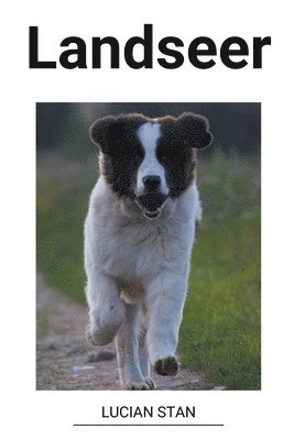 Landseer 1