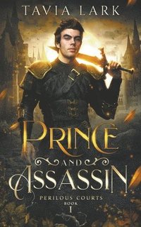 bokomslag Prince and Assassin