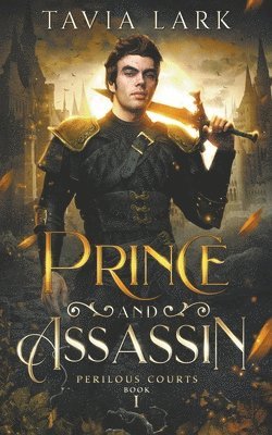 Prince and Assassin 1