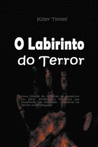 bokomslag O Labirinto do Terror