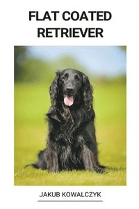 bokomslag Flat Coated Retriever