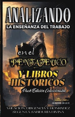bokomslag Analizando la Enseñanza del Trabajo en El Pentateuco y Libros Históricos
