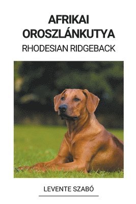 bokomslag Afrikai Oroszlánkutya (Rhodesian Ridgeback)